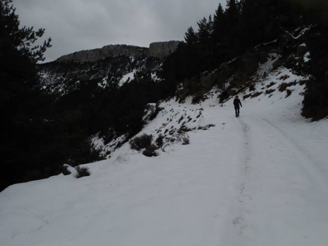 en la montana nevada